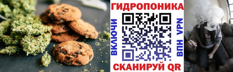 гидра ONION  Ефремов  Cannafood конопля 