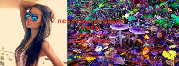 прущая мука Богородицк