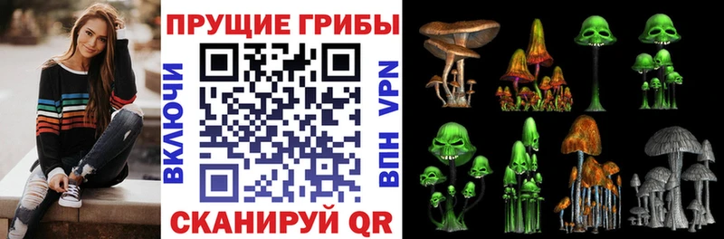 купить наркотик  ОМГ ОМГ ссылка  Галлюциногенные грибы MAGIC MUSHROOMS  Ефремов 